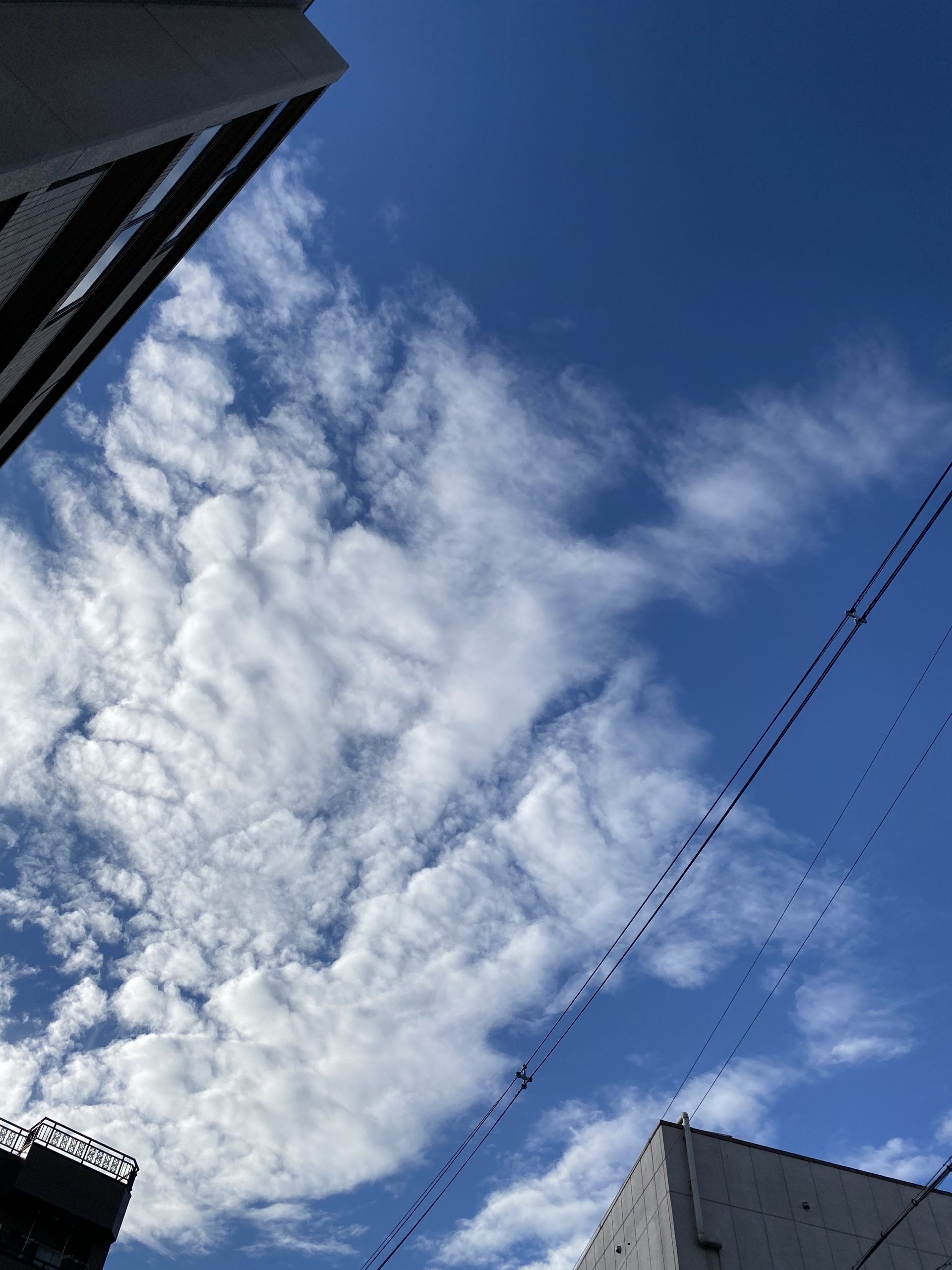 ひつじ雲 吹田 北摂でリフォームなら えびす工務店